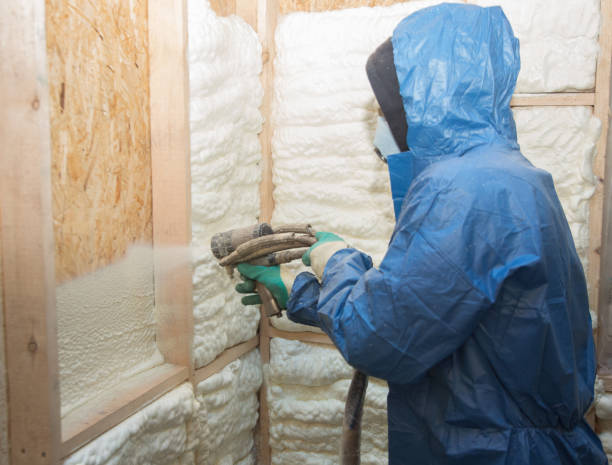 Best Attic Insulation Installation  in Logan Elm Village, OH